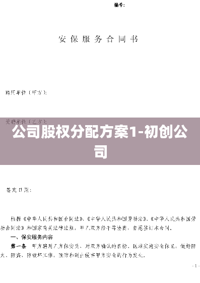 公司股权分配方案1-初创公司