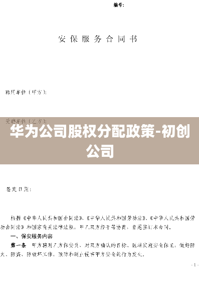 华为公司股权分配政策-初创公司