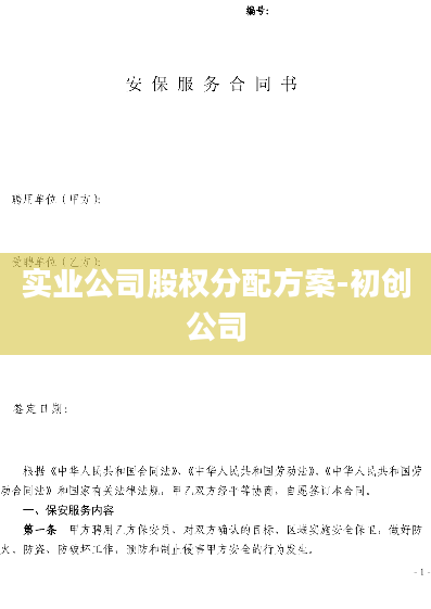 实业公司股权分配方案-初创公司