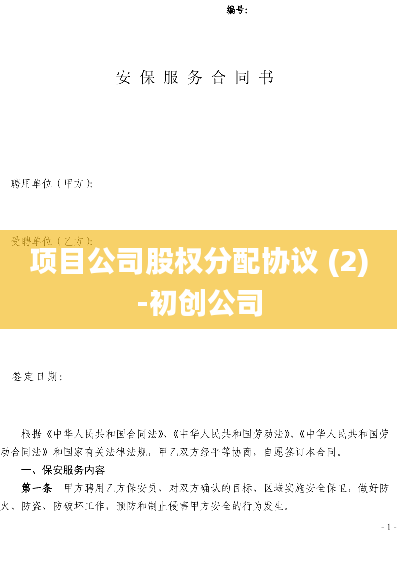 项目公司股权分配协议 (2)-初创公司