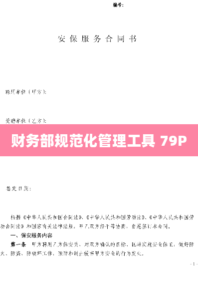 财务部规范化管理工具 79P