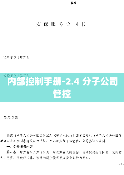 内部控制手册-2.4 分子公司管控